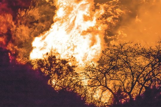 Οι δασικές πυρκαγιές δεν «κοιμούνται» πια τις νυχτερινές ώρες